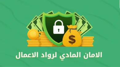 الأمان المادي لرواد الأعمال